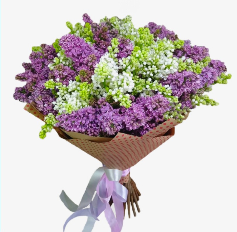 Букет из сирени 