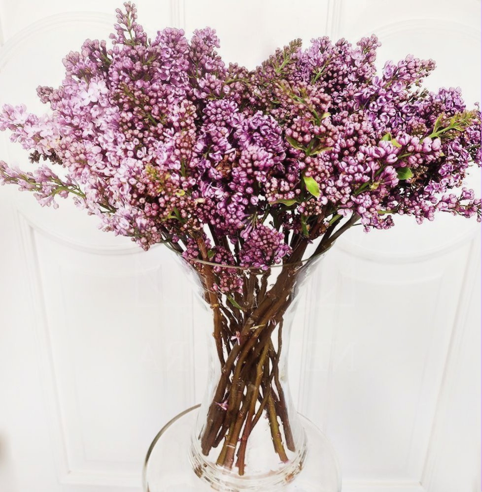 Букет из сирени 