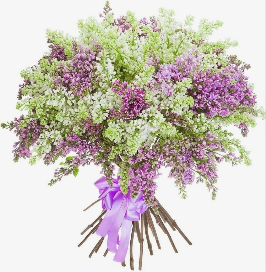 Букет из сирени 