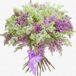 Превью Букет из сирени 