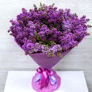 Превью Букет из сирени 