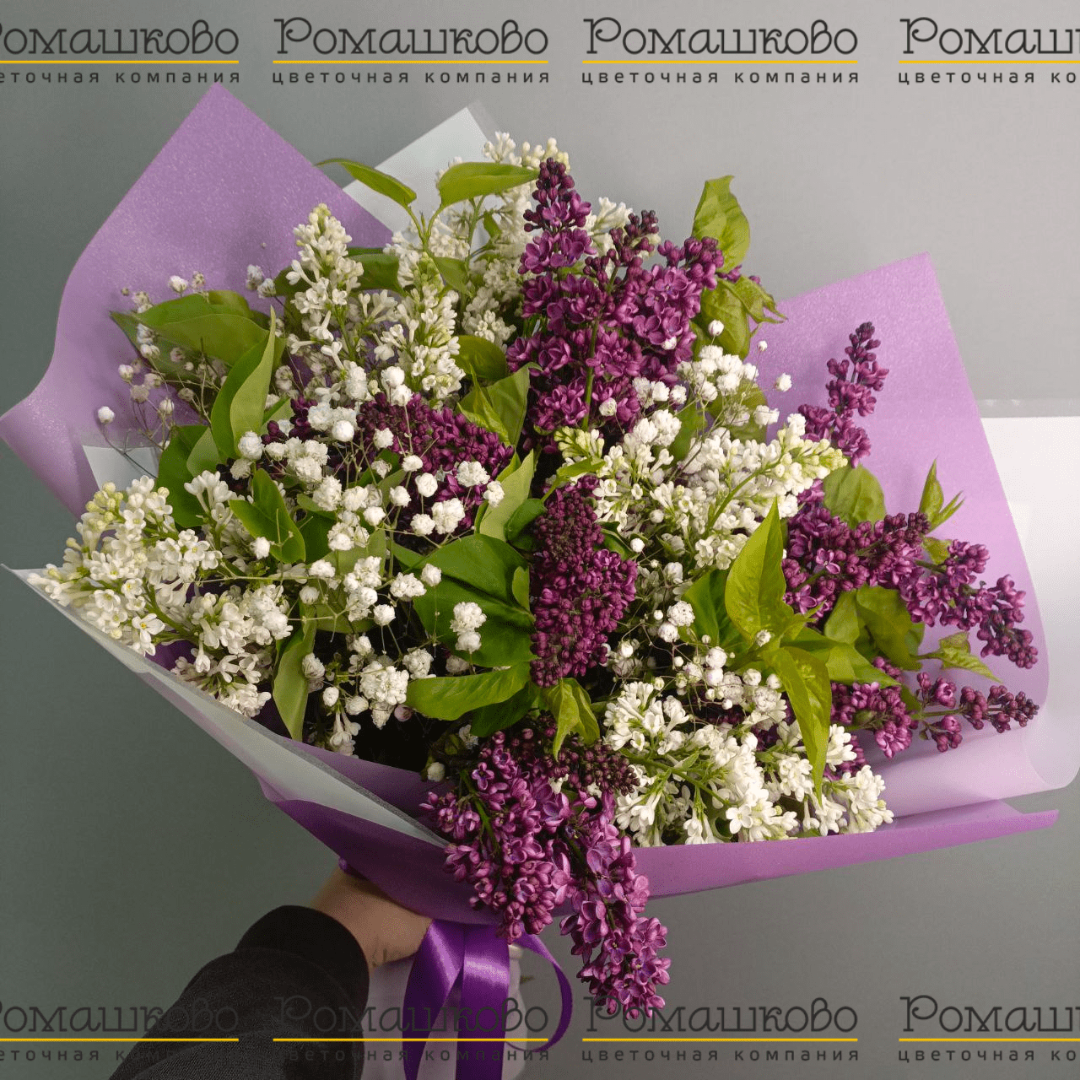 Букет из сирени 