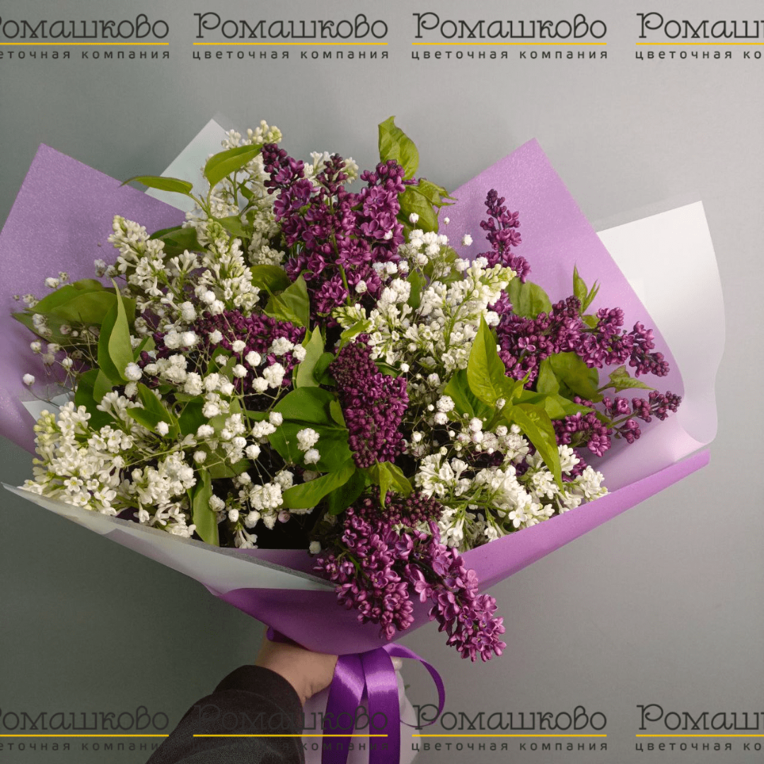 Букет из сирени 