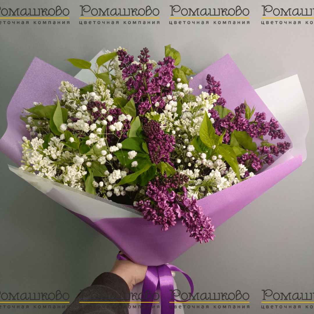 Букет из сирени 