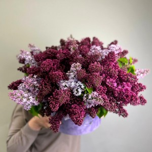 Превью Букет из сирени 