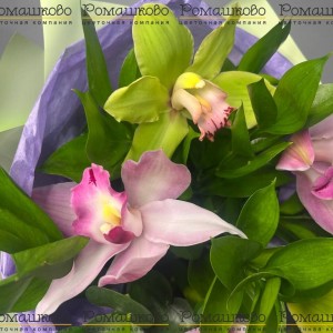 Превью Букет из орхидей 