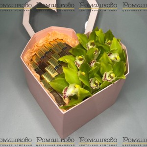 Превью Композиция из орхидей 