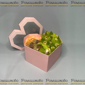 Превью Композиция из орхидей 