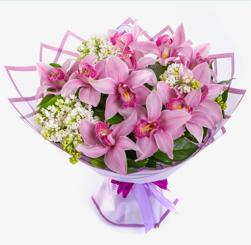 Букет из 19 орхидей