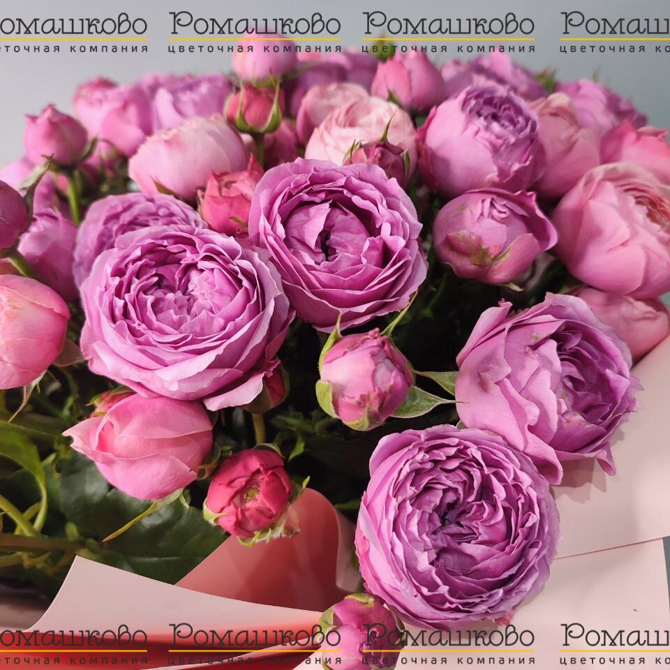Букет из 17 кустовых пионовидных роз