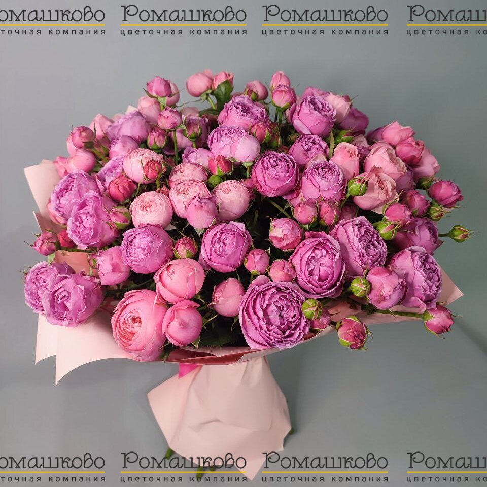 Букет из 17 кустовых пионовидных роз