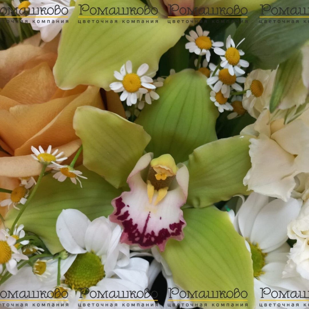 Букет из орхидей «Свежий запах луга»