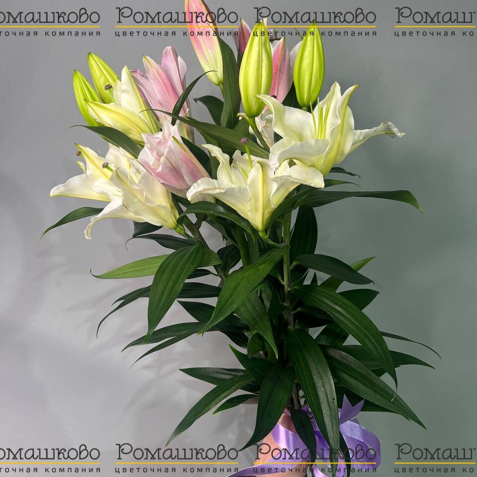 Букет из лилий «Ароматный вихрь»