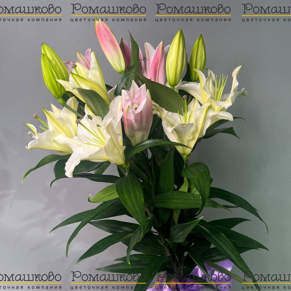Букет из лилий «Ароматный вихрь»