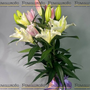 Превью Букет из лилий «Ароматный вихрь»