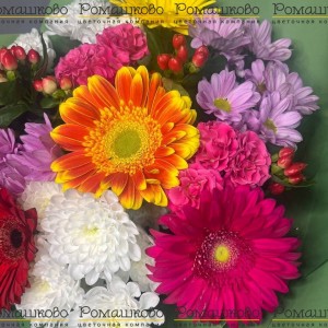 Превью Букет из гербер «Цветочные каскады»