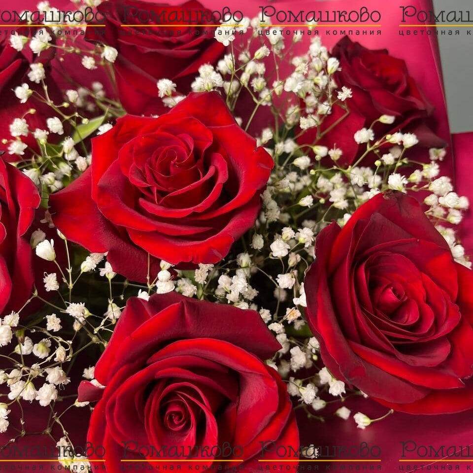 Букет из 7 красных роз с гипсофилой (50см)