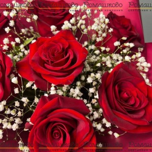 Превью Букет из 7 красных роз с гипсофилой (50см)