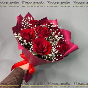 Превью Букет из 7 красных роз с гипсофилой (50см)