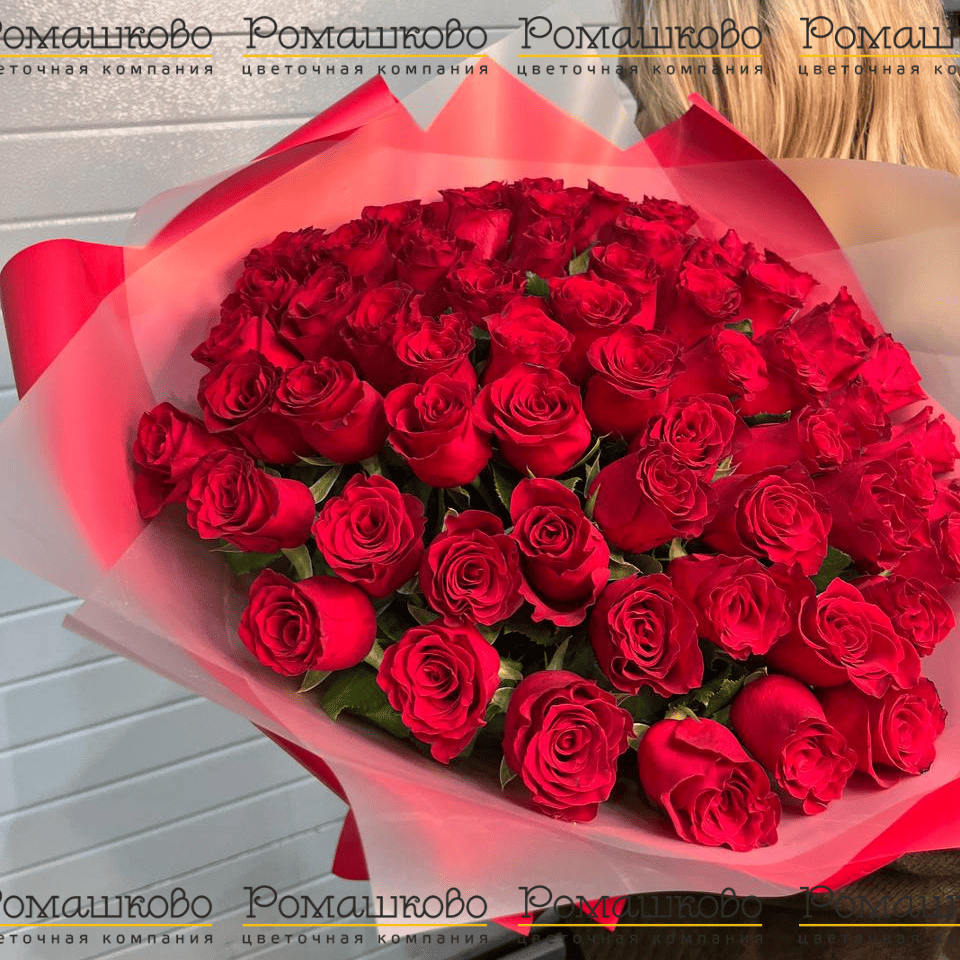 Букет из 65 красных роз Кения (50см)