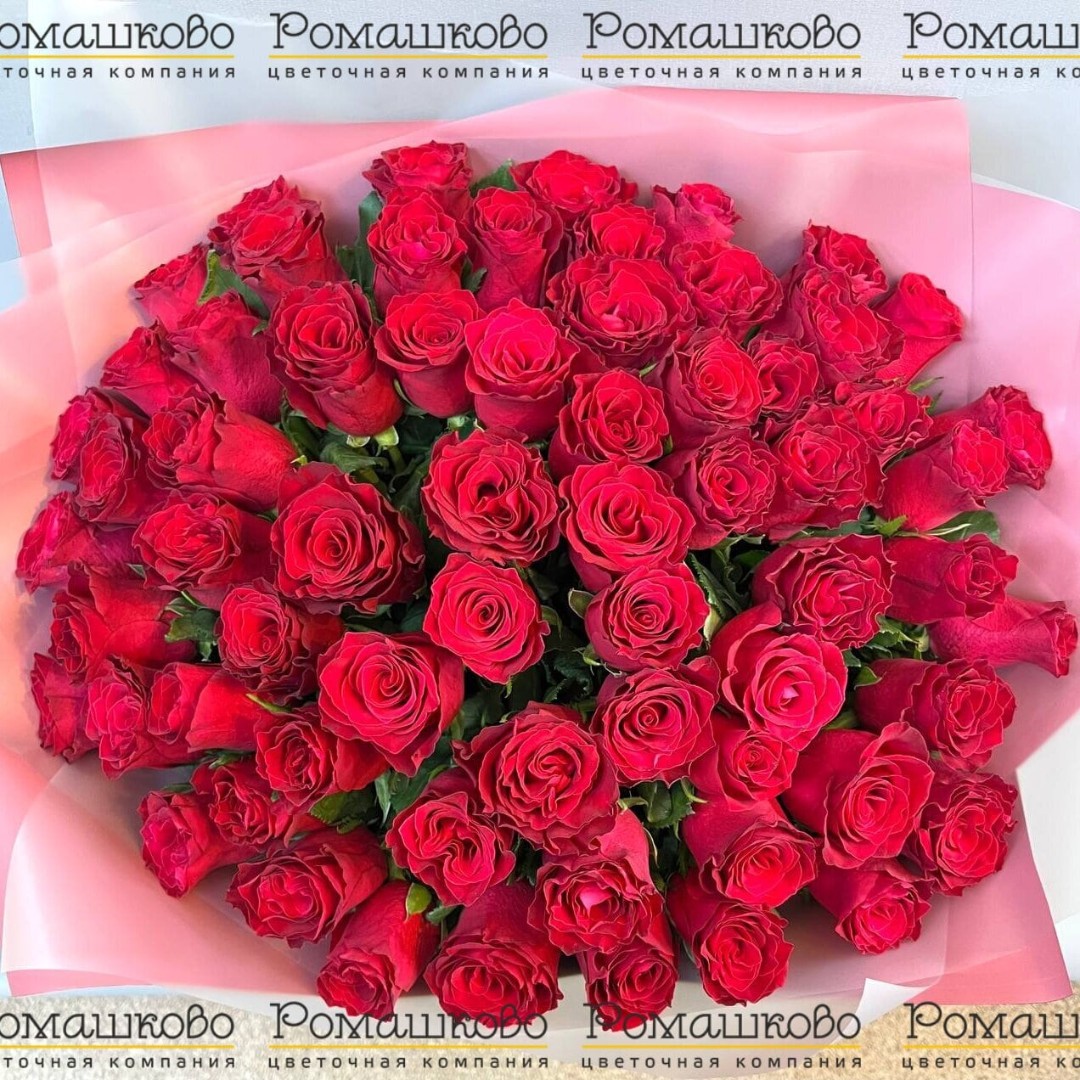 Букет из 65 красных роз Кения (50см)