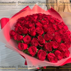 Превью Букет из 65 красных роз Кения (50см)