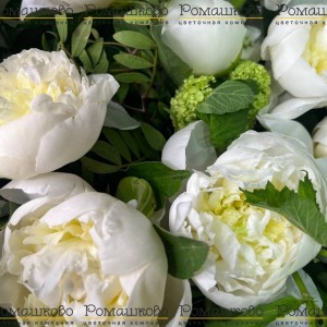 Превью Букет из пионов «У любви чудесный вкус»