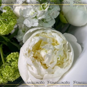 Превью Букет из пионов «У любви чудесный вкус»