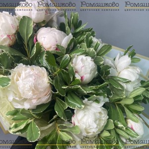 Превью Букет из пионов «Принцесса»