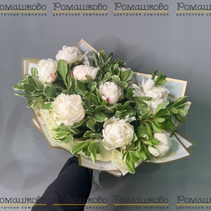 Превью Букет из пионов «Принцесса»