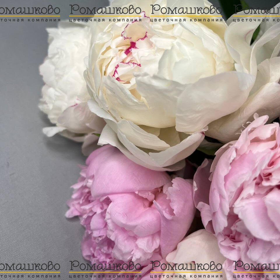 Букет из пионов «Открой свое сердце»