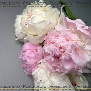 Превью Букет из пионов «Открой свое сердце»