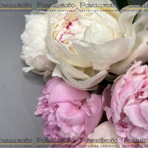 Превью Букет из пионов «Открой свое сердце»