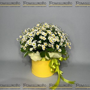 Превью Композиция «Волшебные цветы»