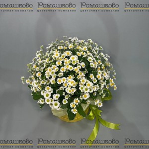 Превью Композиция «Волшебные цветы»