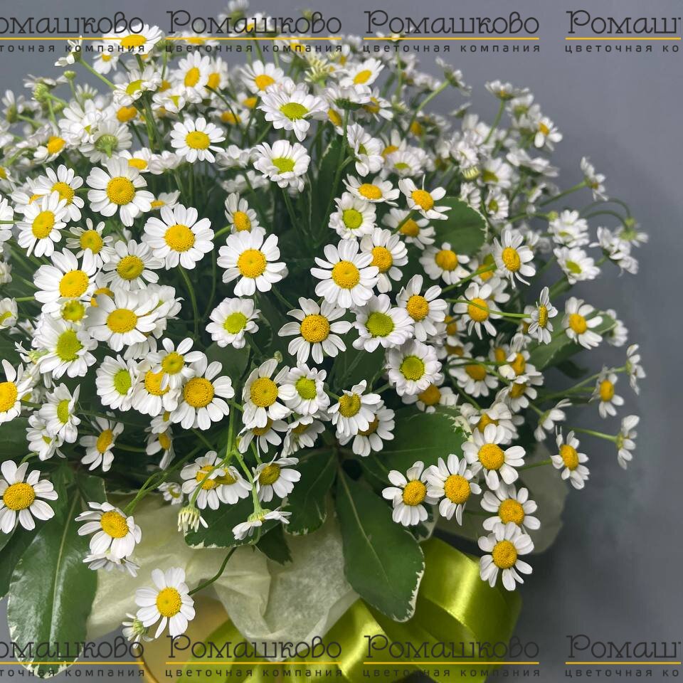 Композиция «Волшебные цветы»