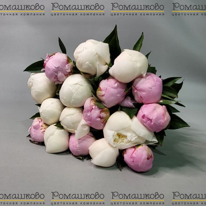 Букет из 17 пионов