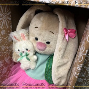 Превью Зайка Ми в мято-розовом комплекте и зайчиком