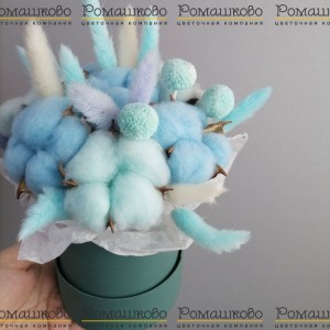 Превью Коробочка из сухоцветов «Легкость воздуха»