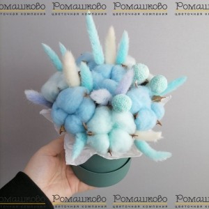 Превью Коробочка из сухоцветов «Легкость воздуха»