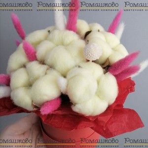 Превью Коробочка из сухоцветов «Сон в хлопке»