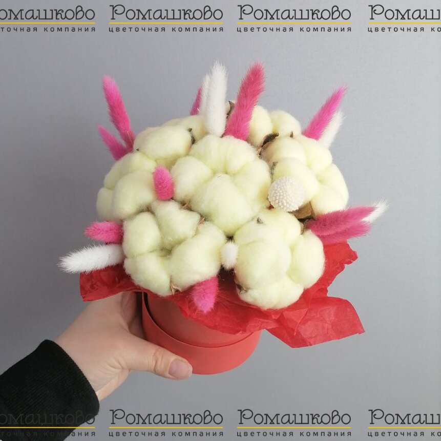 Коробочка из сухоцветов «Сон в хлопке»