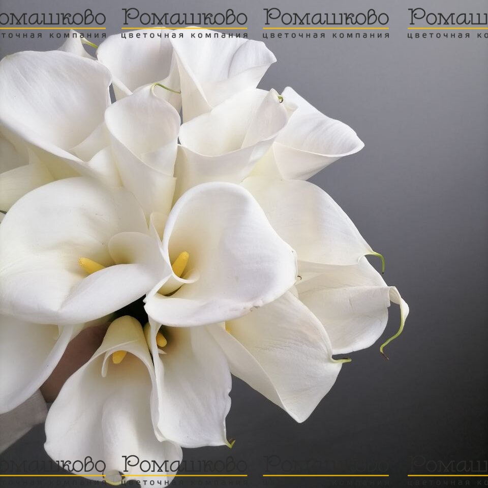 Букет из 17 калл