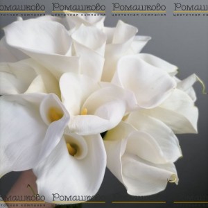 Превью Букет из 17 калл