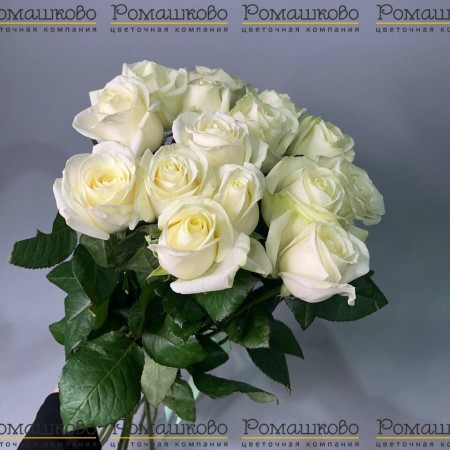 15 белых роз Россия за 2 300 - «Ромашково» в Красноярске
