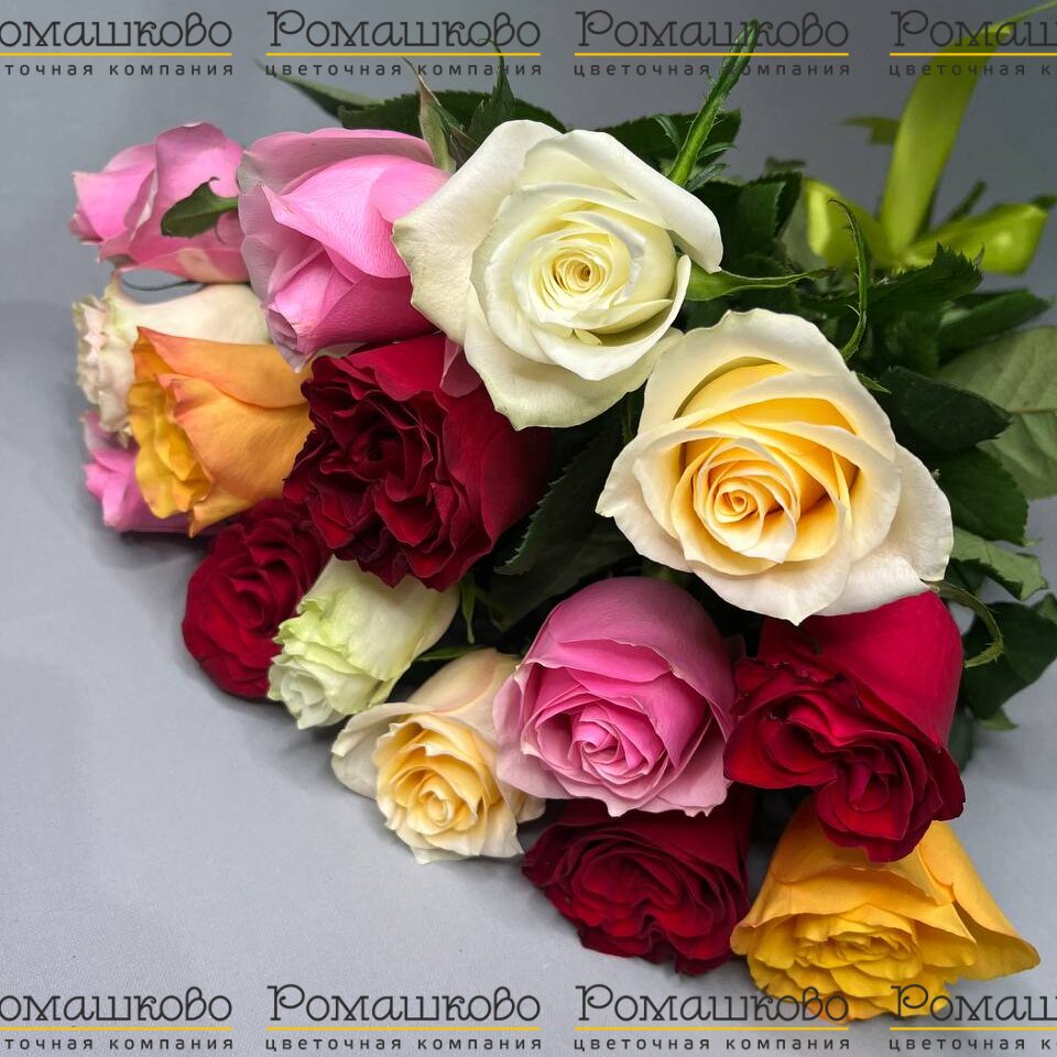 15 разноцветных роз Кения 50см