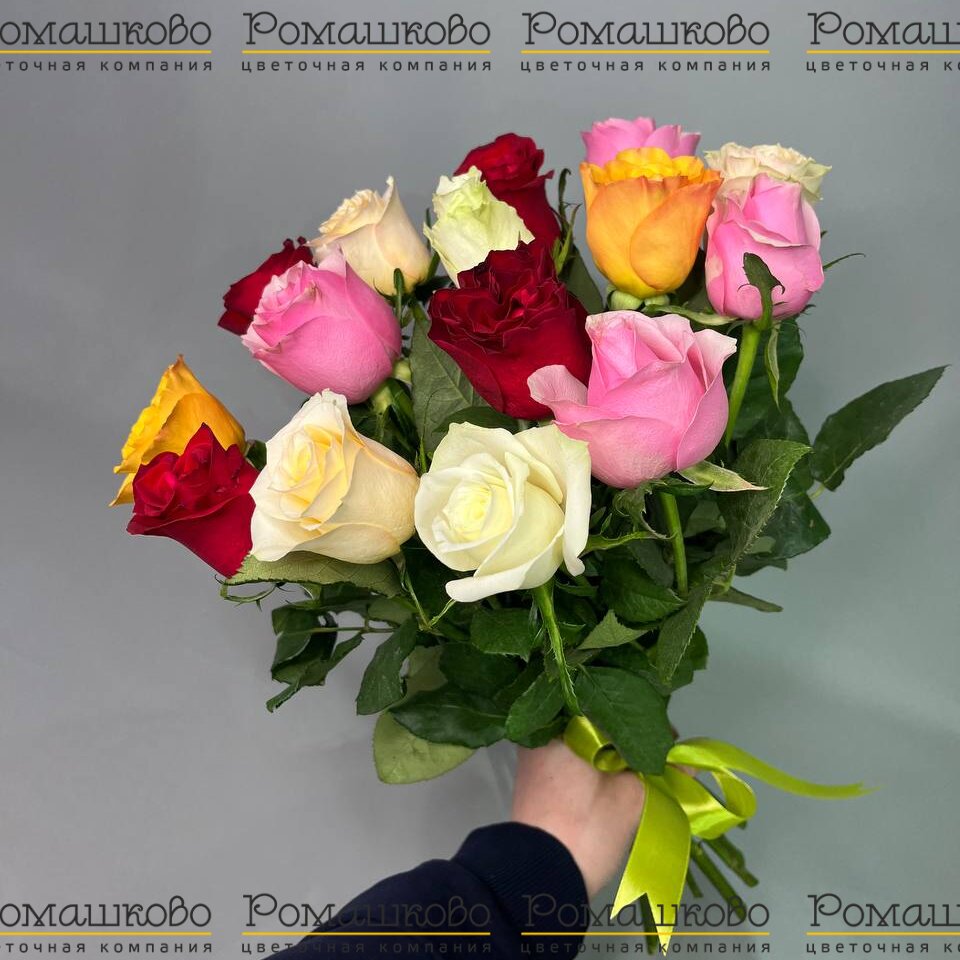 15 разноцветных роз Кения 50см