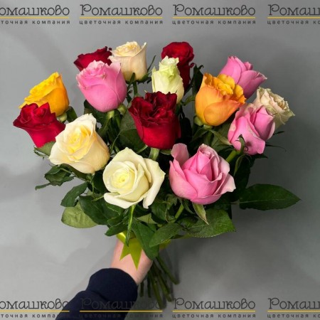 15 разноцветных роз Кения 50см за 1 499 - «Ромашково» в Красноярске