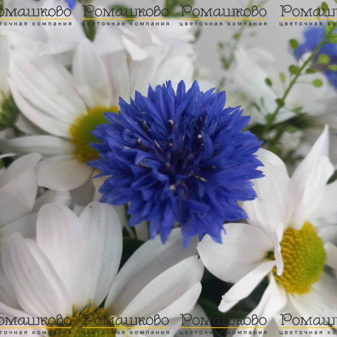 Композиция «Букетная отправка»