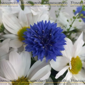 Превью Композиция «Букетная отправка»